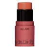 All In One Blush