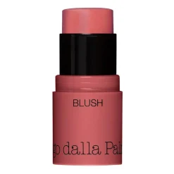 All In One Blush
