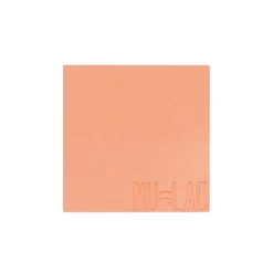 Blush in povere Refill