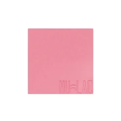 Blush in povere Refill